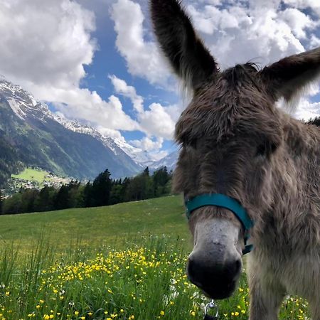 Chalet Riviere Du Bon Nant Location De 6 A 14 Personnes En Haute Savoie Saint-Gervais-les-Bains Dış mekan fotoğraf