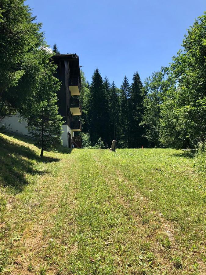 Chalet Riviere Du Bon Nant Location De 6 A 14 Personnes En Haute Savoie Saint-Gervais-les-Bains Dış mekan fotoğraf