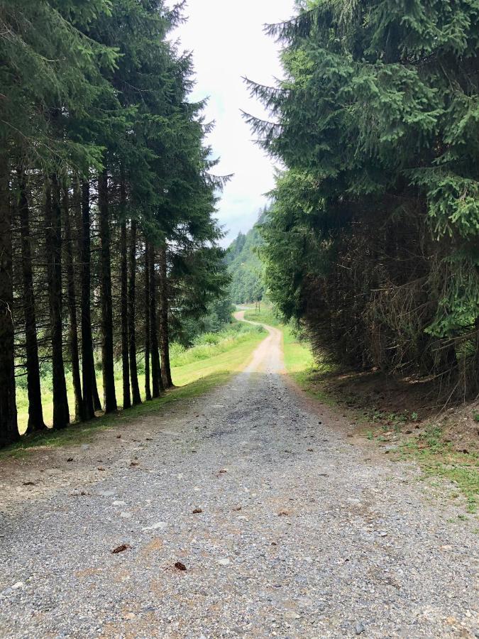 Chalet Riviere Du Bon Nant Location De 6 A 14 Personnes En Haute Savoie Saint-Gervais-les-Bains Dış mekan fotoğraf