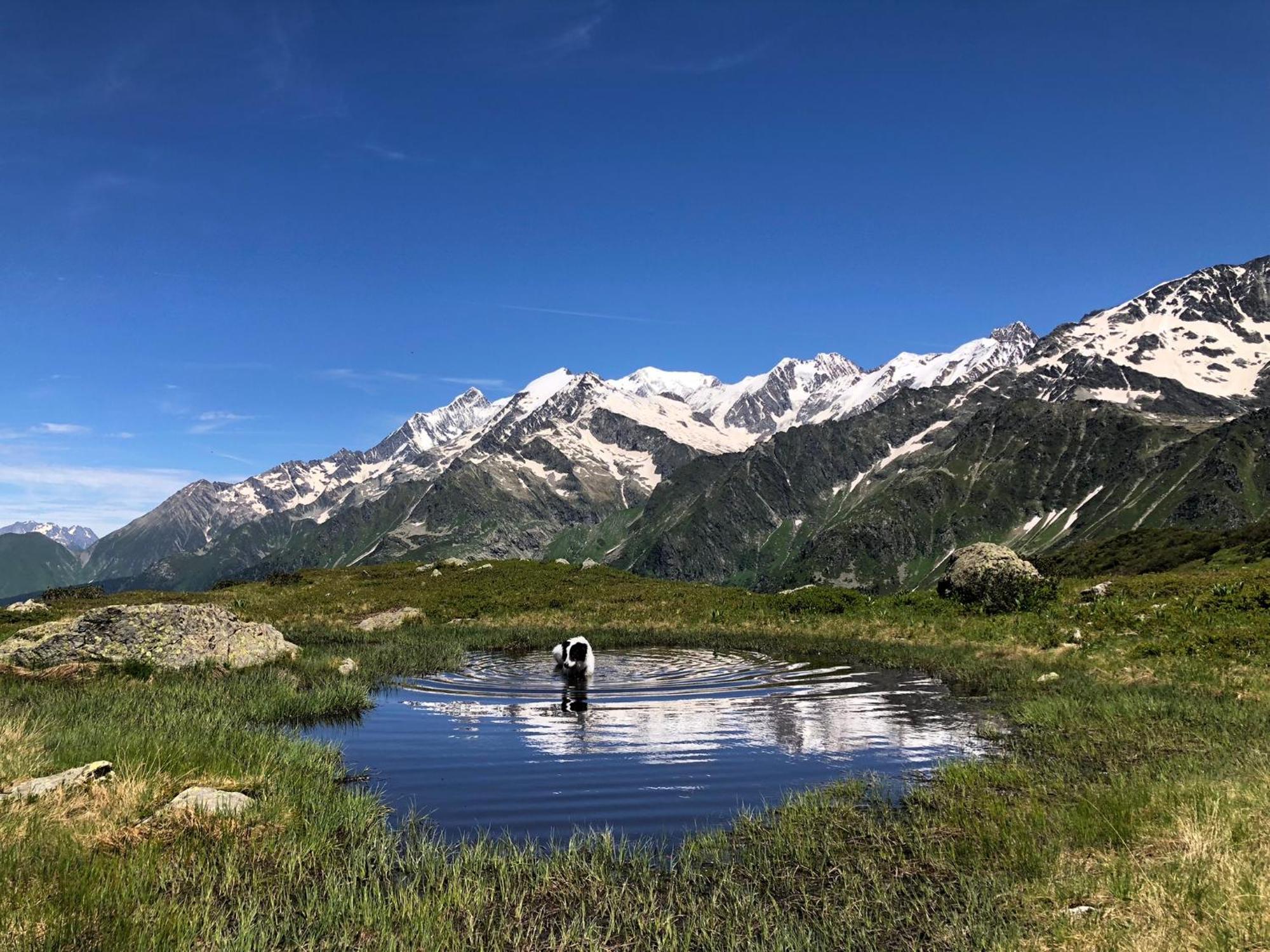 Chalet Riviere Du Bon Nant Location De 6 A 14 Personnes En Haute Savoie Saint-Gervais-les-Bains Dış mekan fotoğraf