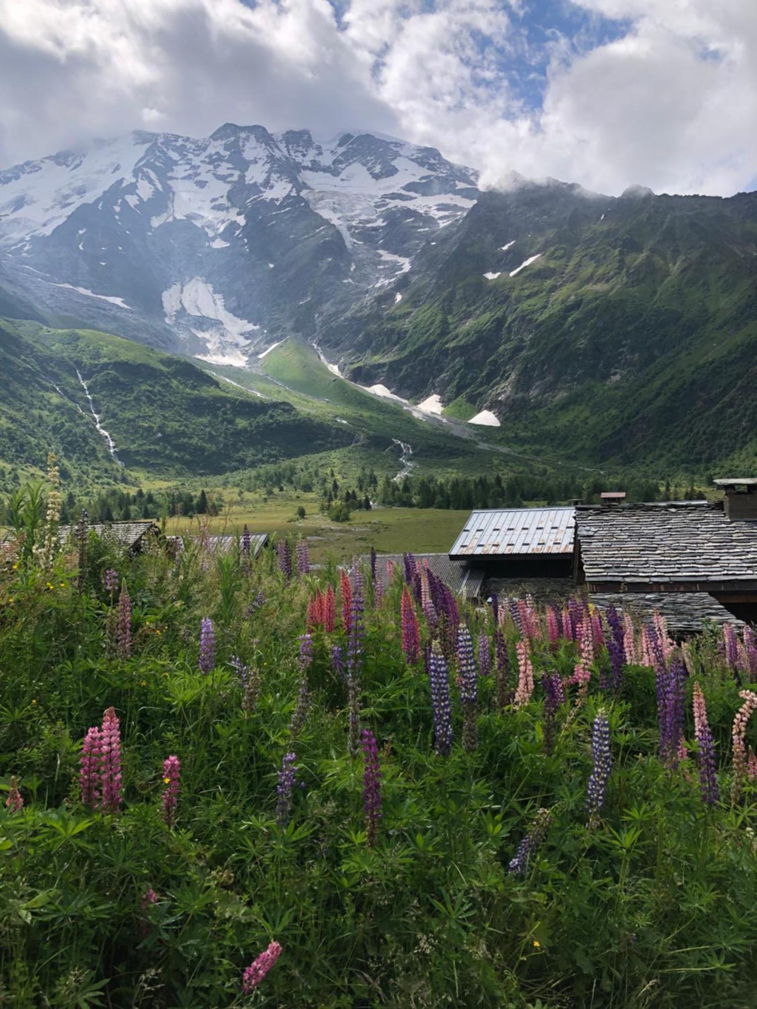 Chalet Riviere Du Bon Nant Location De 6 A 14 Personnes En Haute Savoie Saint-Gervais-les-Bains Dış mekan fotoğraf